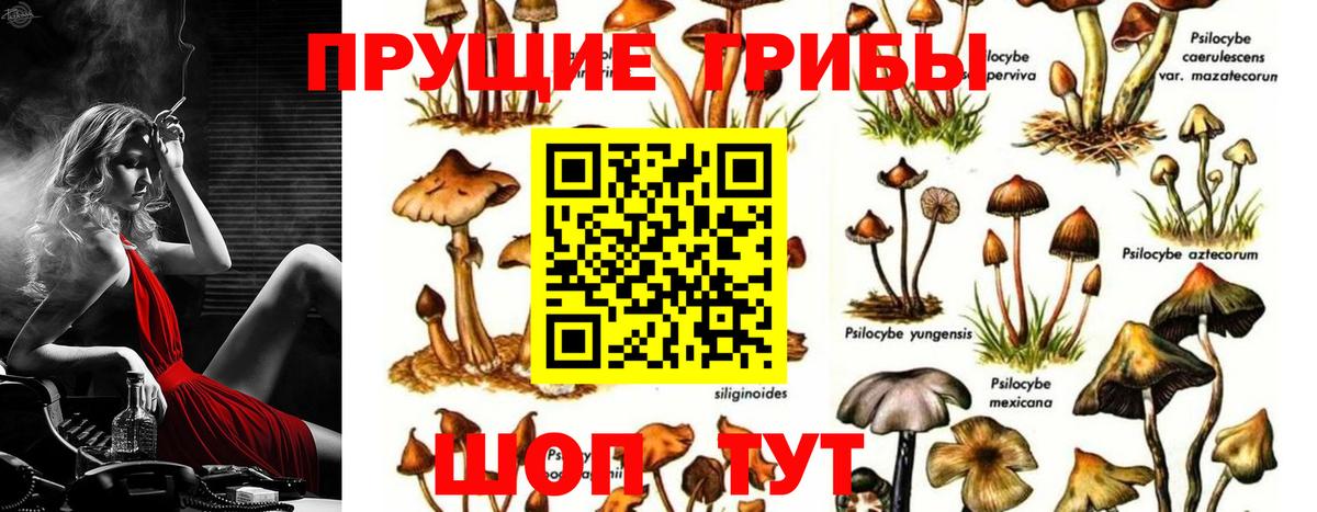 Псилоцибиновые грибы ЛСД  Вход с VPN  наркошоп  Котовск 