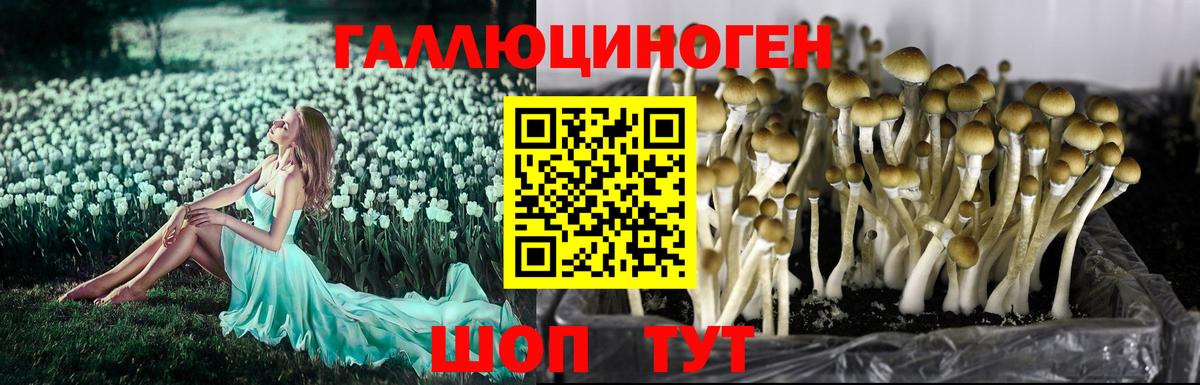 Галлюциногенные грибы ЛСД Котовск